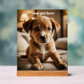 Custom Acryl Bord (Neutraal)