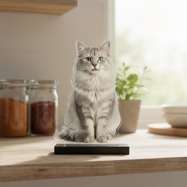 Custom Acrylic Cat Photo Cutout Statue Staand Fotobeeldje (Custom Acrylic Cat Photo Cutout Statue)