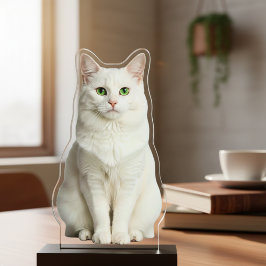 Custom Acrylic Cat Photo Cutout Statue Staand Fotobeeldje