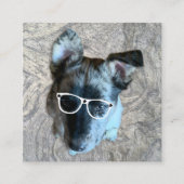 Custom Animal Care Beroep Voeg uw foto toe Vierkante Visitekaartje (Voorkant)