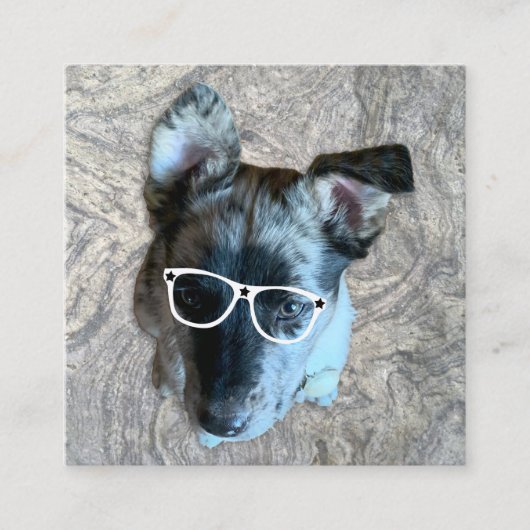 Custom Animal Care Beroep Voeg uw foto toe Vierkante Visitekaartje (Voorkant)