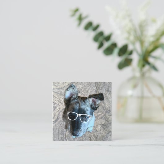 Custom Animal Care Beroep Voeg uw foto toe Vierkante Visitekaartje (Staand voorkant)