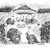 Custom apron design with a house schort