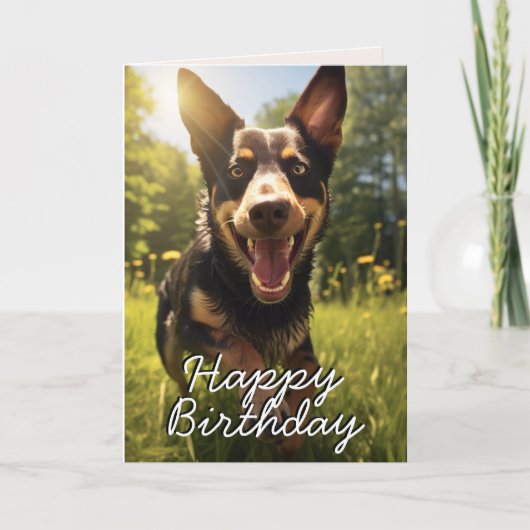 Custom Australian Kelpie Happy Birthday Kaart (Voorkant)