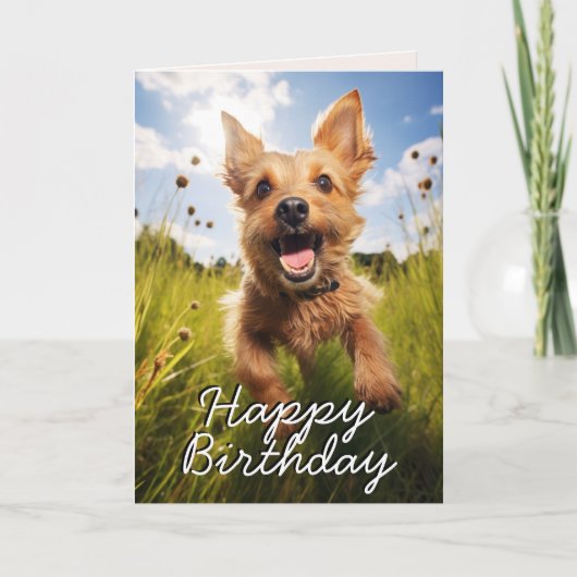 Custom Australian Terrier Happy Birthday Kaart (Voorkant)