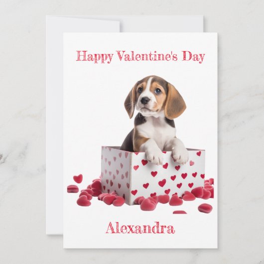 Custom Beagle in Box met Hearts Valentijn Feestdagenkaart (Voorkant)