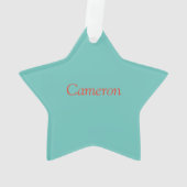 Custom Big Brother met Baby Sister Star Ornament (achterkant)