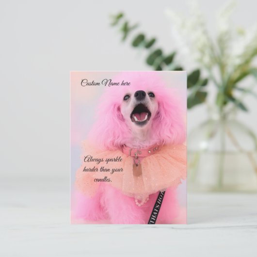 Custom Birthday Card, Pink Toy Poodle, Mozzarella Feestdagenkaart (Staand voorkant)