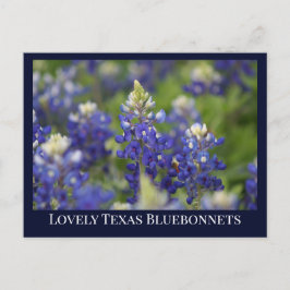 Custom Blue Spring Bluebonnet Texas State Flower Briefkaart