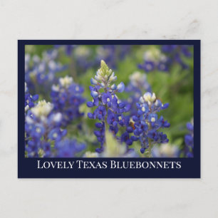 Custom Blue Spring Bluebonnet Texas State Flower Briefkaart