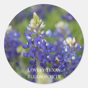 Custom Blue Spring Bluebonnet Texas State Flower Ronde Sticker