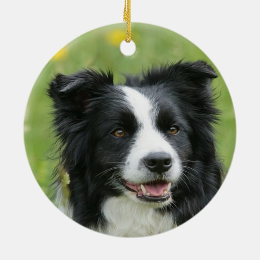 Custom Border Collie Dog Foto Keramisch Ornament (Achterkant)