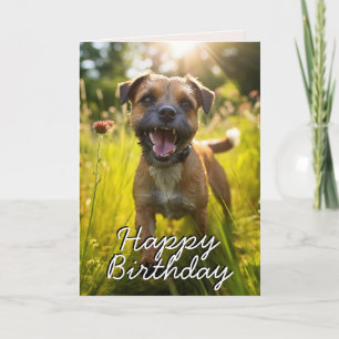 Custom Border Terrier Happy Birthday Kaart
