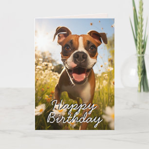 Custom Boxer Happy Birthday Kaart