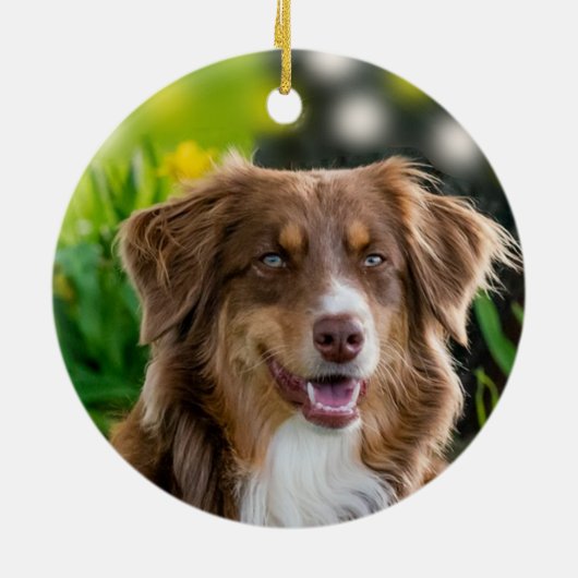 Custom Brown Shepherd Dog Foto Keramisch Ornament (Achterkant)