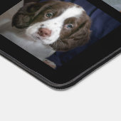 Custom Bruin en Witte Hond Foto's op Zwart Bureaumat (Hoek)