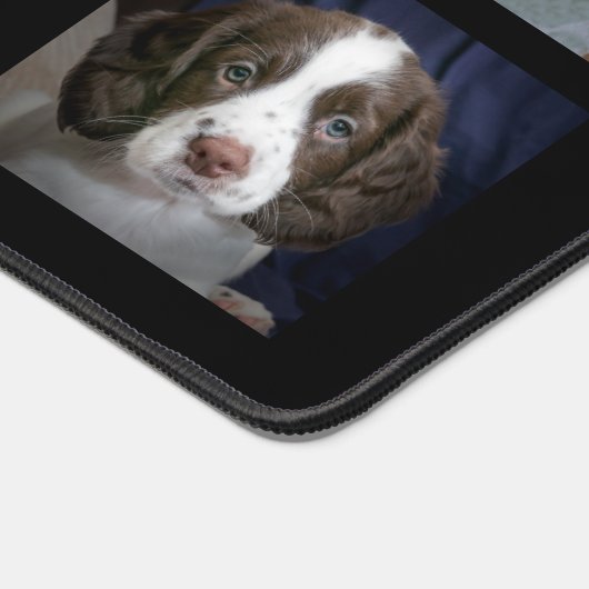 Custom Bruin en Witte Hond Foto's op Zwart Bureaumat (Hoek)