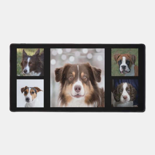 Custom Bruin en Witte Hond Foto's op Zwart Bureaumat (Voorkant)