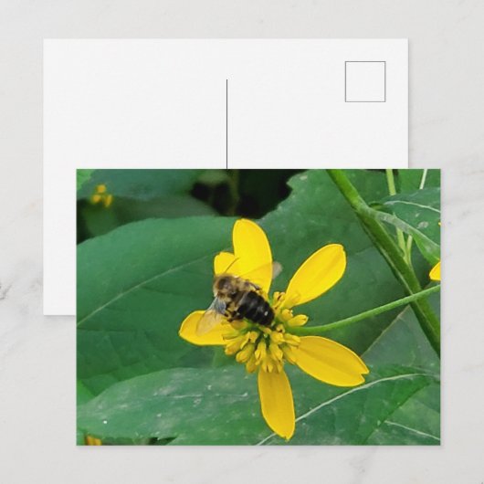 Custom Bumblebee op een Yellow Flower Briefkaarten (Voorkant / Achterkant)