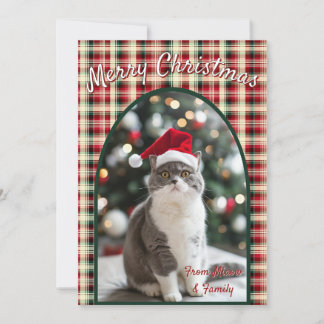 Custom Cat Christmas Feestdagenkaart