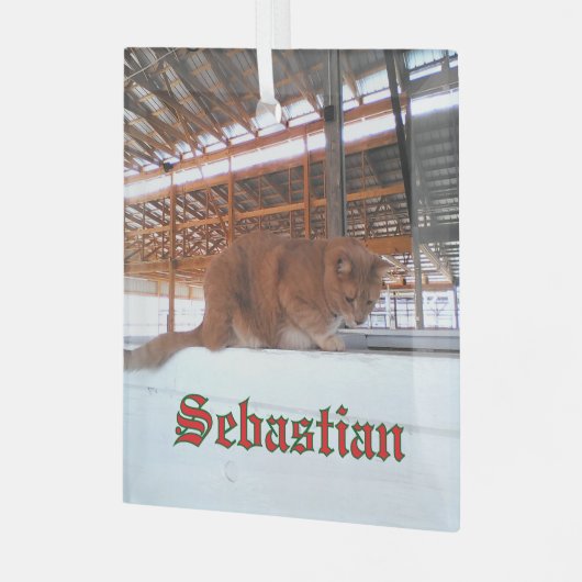 Custom Cat Glass Ornament (Voorkant links)