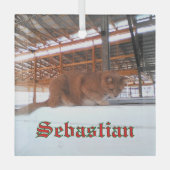 Custom Cat Glass Ornament (Voorkant)