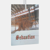 Custom Cat Glass Ornament (Voorkant Rechts)