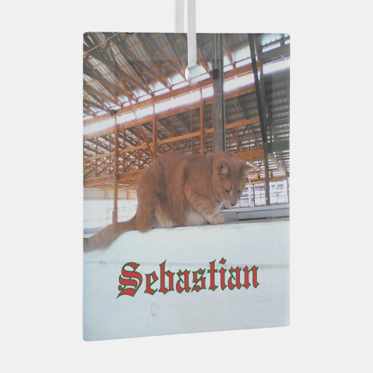 Custom Cat Glass Ornament (Voorkant Rechts)