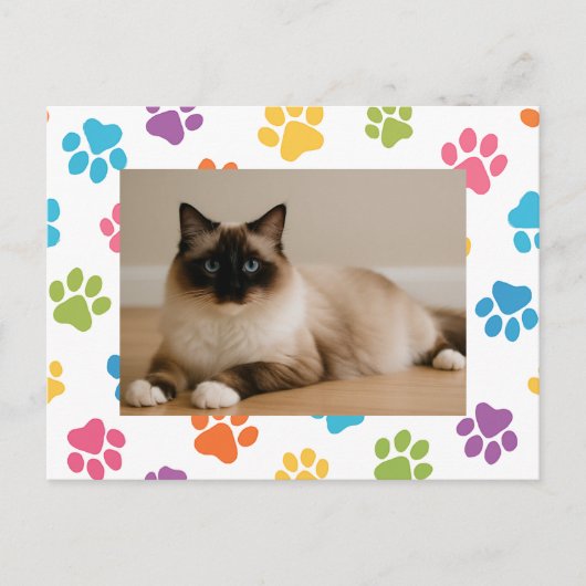 Custom Cat Lover Postcard with Photo Briefkaart (Voorkant)