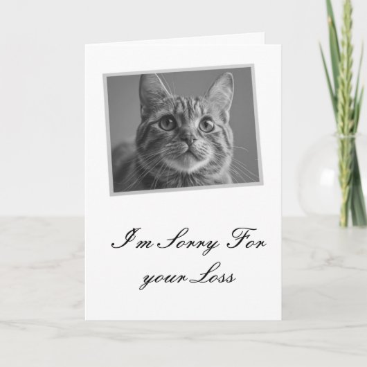 Custom Cat Memorial Sympathy Photo (Voorkant)