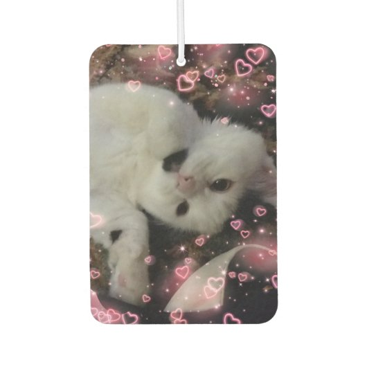 Custom Cat Photo Car Air Freshener Luchtverfrisser (Voorkant)