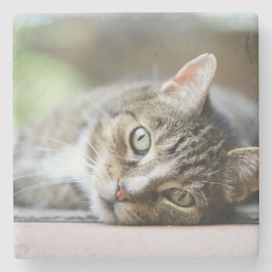Custom Cat Photo Pet Lover Gift Stenen Onderzetter (Voorkant)