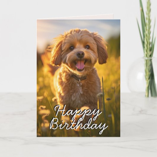 Custom Cavoodle/Cavapoo Happy Birthday Kaart (Voorkant)
