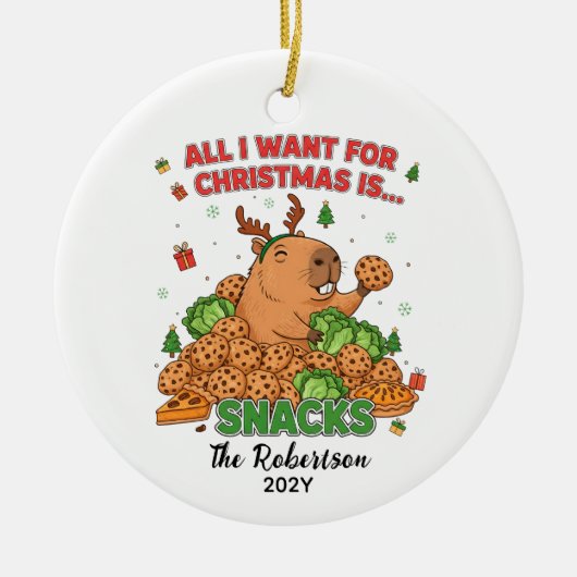 Custom Christmas Photo Keepsake Funny Capybara Keramisch Ornament (Voorkant)