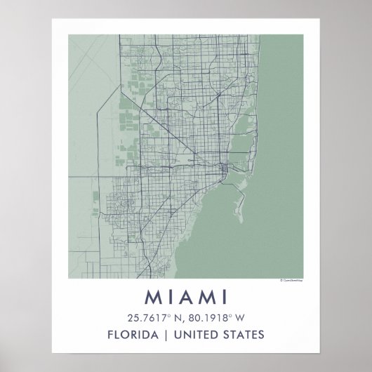 Custom City Map Miami Florida Wall Art Poster (Voorkant)