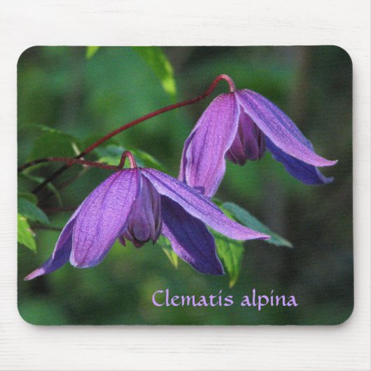 Custom Clematis Mousepad Muismat (Voorkant)