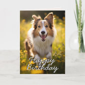 Custom Collie Happy Birthday Kaart (Voorkant)