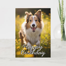 Custom Collie Happy Birthday Kaart