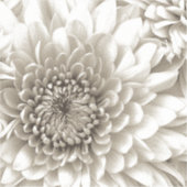 Custom-Cut Vinyl Sticker (Voorkant)