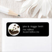 Custom Cute Panda, Asian Beer, Animal Etiket (Insitu)