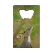 Custom deer creditkaart flessenopener (Voorkant)