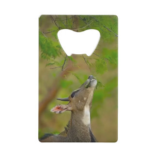 Custom deer creditkaart flessenopener