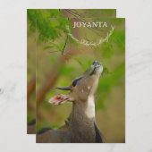 Custom deer kaart (Voorkant / Achterkant)