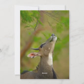 Custom deer kaart (Achterkant)