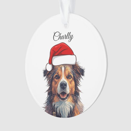 Custom Dog Christmas Ornament Santa Hat Photo Gift (voorkant)
