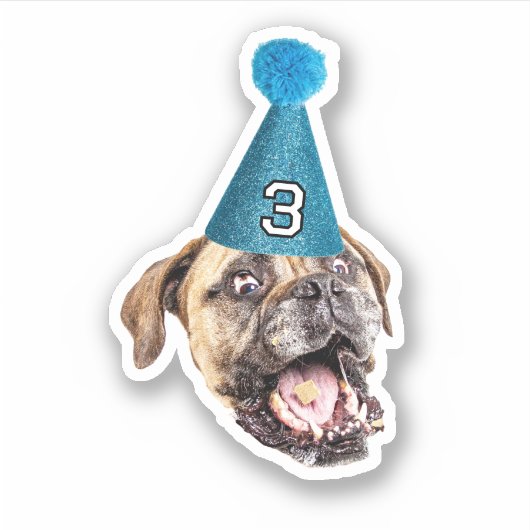 Custom Dog Face Foto met Age Party Pet Verjaardag Sticker (Voorkant)