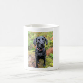 Custom Dog Mok - het perfecte last-minute cadeau!