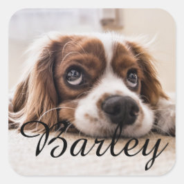 Custom Dog Name Design – Personalized Dog Lover Gi Vierkante Sticker