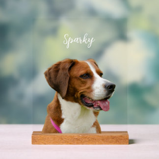 Custom Dog Name Photo Memorial Portrait Acryl Bord