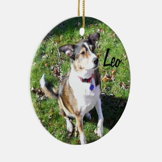 Custom Dog Ornament (Rechts)